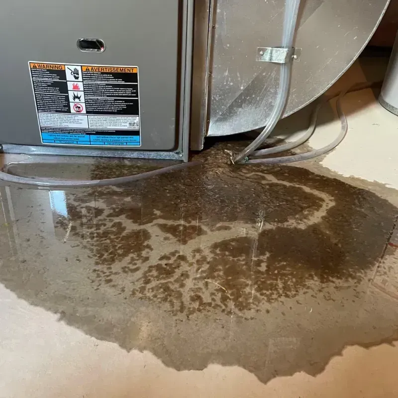 Appliance Leak Cleanup in Tarboro, NC